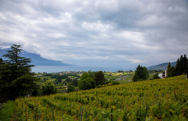 Obraz premium summer landscape in the mountains, Switzerland