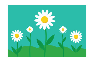 camomile on a green background