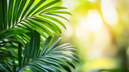 Lush Green Tropical Leaves Against Bright Background of Nature