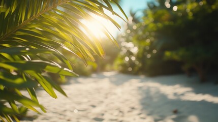 Lush Tropical Pathway Through Palm Trees at Sunset Glow