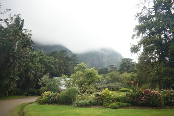 Naklejka premium Hakgala Botanical Garden, Hakgala, Nuwara Eliya, Sri Lanka.