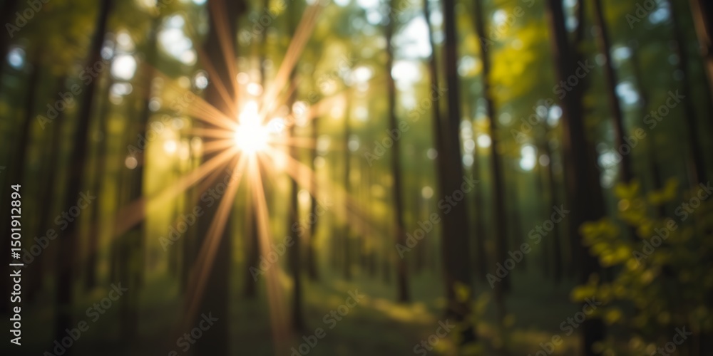 Poster sunlight streaming through the trees in a dense forest creating a bokeh effect and golden glow