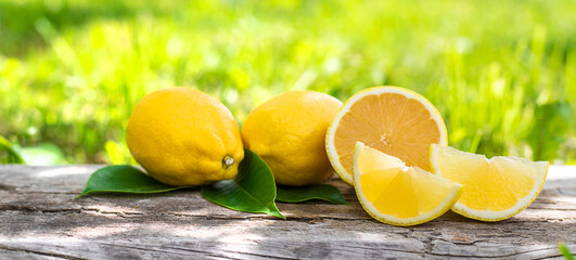 lemons garden sliced background. Selective focus.