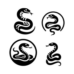 Fototapeta premium snake vector illustration