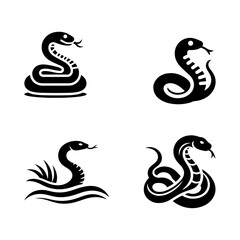 Fototapeta premium black and white snake