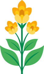 Celsia flowers vector art icon white background 