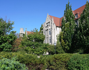 The University of Chicago's campus has limestone gothic style building surrounded by lush foliage
