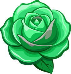 green rose vector illustration