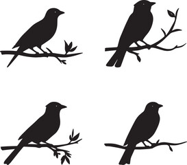 A set of four bird silhouettes perched on tree branches. This artwork is digitally enhanced using AI and manually edited for quality.