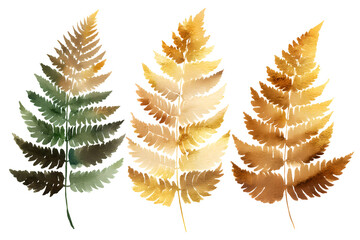 Watercolor illustration of three fern leaves in various shades of green and brown on white background