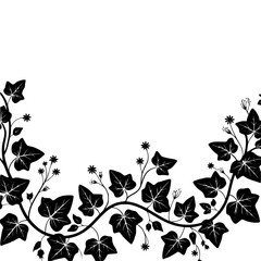 Elegant Black Ivy Border on White, Minimalist Botanical Design