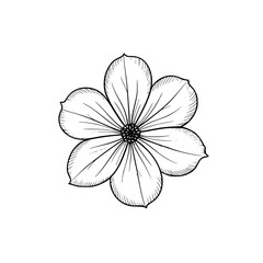 Elegant Hand-Drawn Flower Illustration with Soft Shadow on White Background
