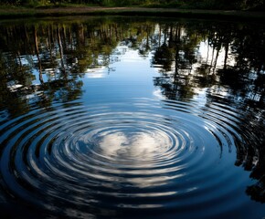 Ripples distort reflection of trees and sky in calm pond water