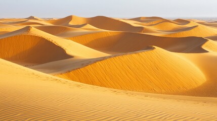 Expansive Dune Landscape Under Bright Sunlight in Sandy Desert