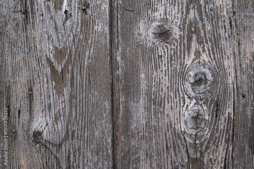 Poster weathered wood texture with visible grain and knots showcasing rustic charm and natural aging in a c