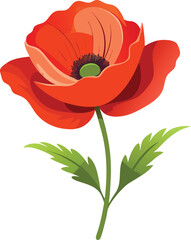 Obraz premium Poppy