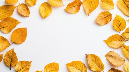 Vibrant Autumn Leaves Arrangement on Clean White Background