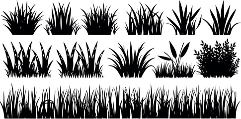 grass silhouettes set, Beach grass, reeds silhouette isolated on white. Vector collection.