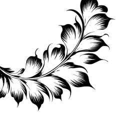 Elegant Black and White Floral Ornament on White Background