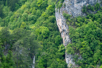 Lush forest meets rocky cliffs Green trees cover the landscape contrasting with the gray stone face in a vibrant natural scene