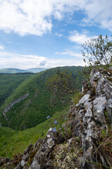 Fototapeta premium Scenic mountain vista featuring lush forests rocky terrain delicate blue wildflowers and a clear blue sky with picturesque clouds