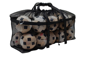 Soccer balls in mesh bag.