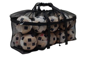 Soccer balls in mesh bag.