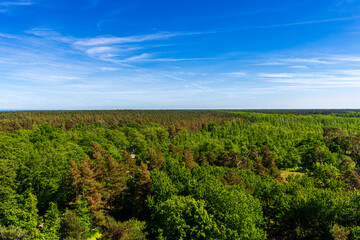 Fototapeta premium Beautiful Top View from Lighthouse of Darss Peninsula Coast near Prerow in Germany