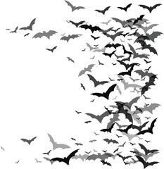 Halloween Flying Bat Vector – Creepy Silhouette for Cards, Flyers, and Digital Use.