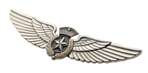 Pilot wings png aviation badge png pilot uniform insignia png flight wings pin png airline captain emblem png transparent background