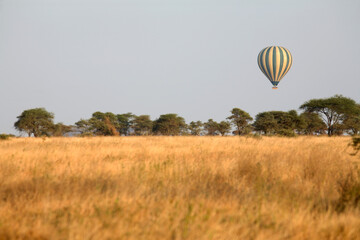 Hot-Air Balloon flying over Serengeti, Tanzania