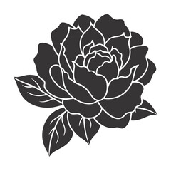 Photorealistic Black & White Peony – Detailed Symmetrical Botanical Illustration