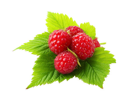 aspberries with leaves on png