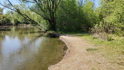 black bird and river in the park
