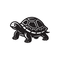 turtle on a white background vector