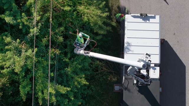 Worker in lift truck trimming tree around power lines. Maintenance of electrical grid by city utility cervices.