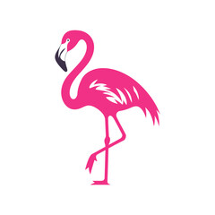 A vibrant pink flamingo with a black beak, standing gracefully on one leg