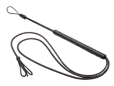 Training whip png equestrian whip png horse training tool png crop whip png riding gear png animal handling whip png transparent background image