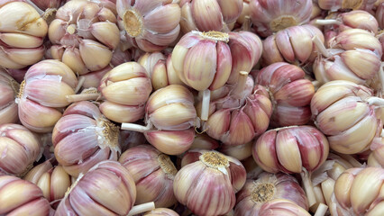 Close-up of a large pile of garlic heads in white, cream, and purple/pink tones, for sale at a market or farmers market.
