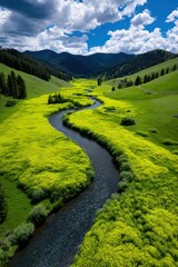 Winding river flows through vibrant green meadows under a cloudy sky