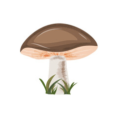 Hand drawn autumn mushroom on white background. Perfect for seasonal designs, DIY crafts, invitations and nature themed illustrations.