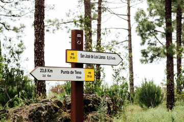 Wooden Directional Signpost in Forested Area Indicating Trail Destinations