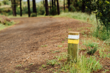 Trail Marker Post in Forest Setting Along Ground Pathway