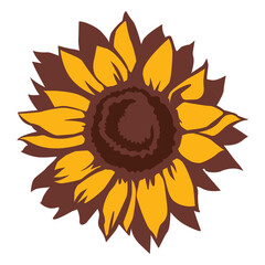 Sunflower nature bloom hand drawn