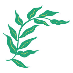 Fern leaves semi flat