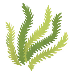 Majestic seaweed in the waters © Vexels
