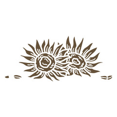 Two sunflowers cut out