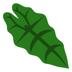 Green leafy plant flat