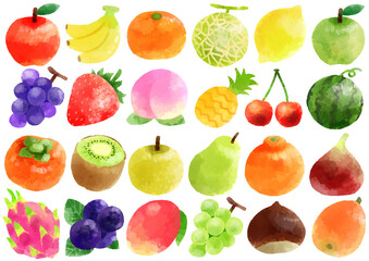 果物のアイコン　 イラスト　手描き　水彩風