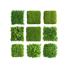 Nine Square Green Herb and Grass Textures - Top Down View